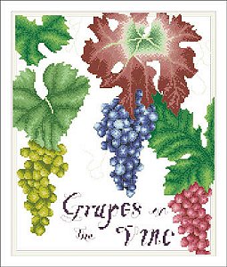 Vickery Collection - Grapes on the Vine MAIN