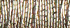 Japan 5 Thread - 160J Rustic Gold MAIN