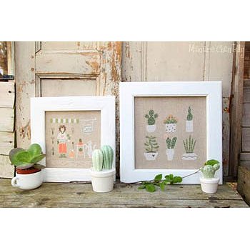 Madame Chantilly - Cactus Mania MAIN