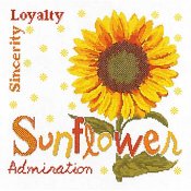 Lilipoints - Sunflower THUMBNAIL