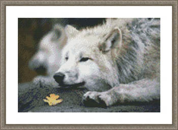 Kustom Krafts - Lounging Wolf MAIN