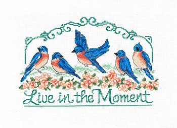 Imaginating - Live In The Moment 3236 MAIN