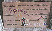 Mani Di Donna - The Right To Vote THUMBNAIL