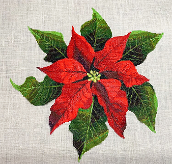 Keslyn's - Lori's Poinsettia MAIN