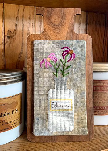 Darling & Whimsy - Perennial Potions Echinacea MAIN
