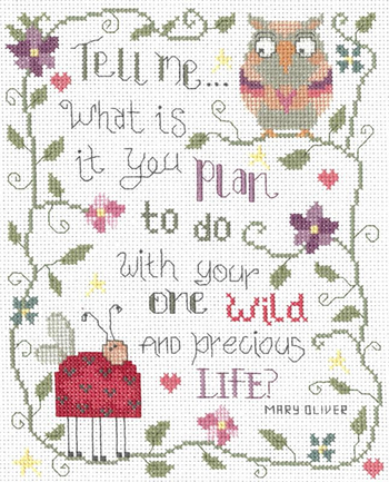 Imaginating - Wild & Precious Life 3397 MAIN