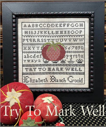 The Scarlett House - Try To Mark Well MAIN