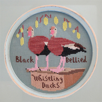 Lindy Stitches - Bird Crush Club - Black Bellied Whistling Ducks MAIN