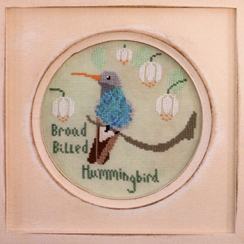 Lindy Stitches - Bird Crush Club - Broad Billed Hummingbird MAIN