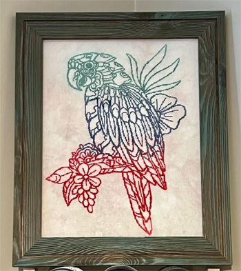 Salty Stitcher Designs - Parrot MAIN