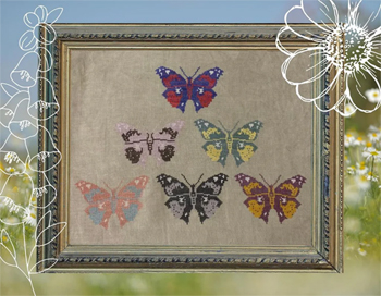 Darling & Whimsy Designs - Butterfly Study MAIN