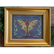 Petal Pusher - Spanish Moon Moth THUMBNAIL