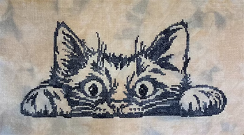 Keslyn's - Curious Simon MAIN