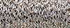 Kreinik #32 Braid 3202 Cat's Eye MAIN
