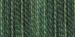 DMC Color Variations 4045 Evergreen Forest MAIN