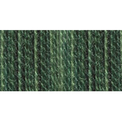 DMC Color Variations 4045 Evergreen Forest THUMBNAIL