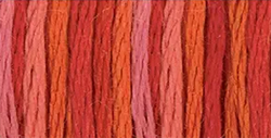 DMC Color Variations 4200 Wild Fire MAIN