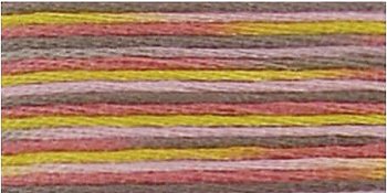 DMC Coloris Floss 4509 Granite Coast MAIN