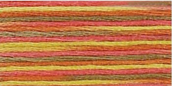 DMC Coloris Floss 4510 Maple MAIN