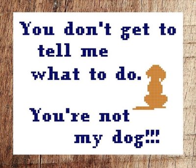 Iris Originals - Not My Dog MAIN