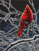 Dimensions Kit - Ice Cardinal THUMBNAIL