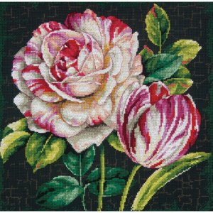 Dimensions Kit - Tulip Drama MAIN