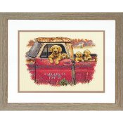 Dimensions Kit - Golden Ride THUMBNAIL