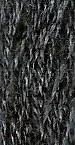 Gentle Art Simply Wool Thread 7037-W Freedom THUMBNAIL