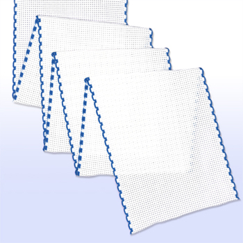 Stitch Band 16ct White w/ Blue Edge 4" Width MAIN