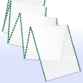 Stitch Band 16ct White w/ Green Edge 4" Width MAIN