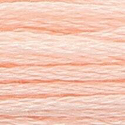 Anchor Floss 06 Salmon Vy Lt MAIN