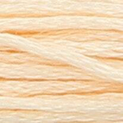 Anchor Floss 1009 Copper Vy Lt THUMBNAIL