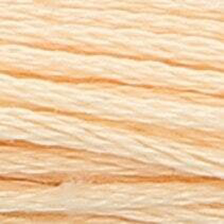 Anchor Floss 1010 Cinnamon Vy MAIN