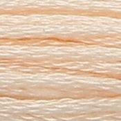 Anchor Floss 1011 Flesh Vy Lt THUMBNAIL