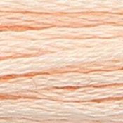 Anchor Floss 1012 Chickory Lt THUMBNAIL