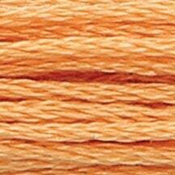 Anchor Floss 1047 Cinnamon Lt THUMBNAIL