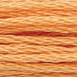 Anchor Floss 1047 Cinnamon Lt MAIN