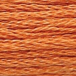 Anchor Floss 1048 Cinnamon Med MAIN