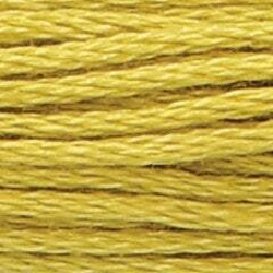 Anchor Floss 279 Olive Green M MAIN