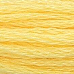 Anchor Floss 295 Jonquil Med L MAIN