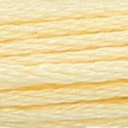 Anchor Floss 300 Citrus Lt MAIN