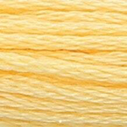 Anchor Floss 301 Citrus MAIN