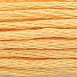 Anchor Floss 311 Tangerine Vy MAIN