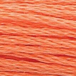 Anchor Floss 328 Melon Lt MAIN