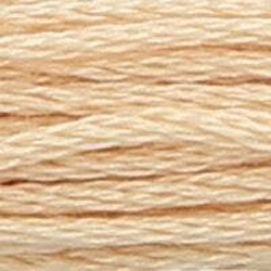 Anchor Floss 366 Spice Vy Lt MAIN