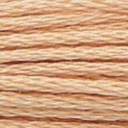 Anchor Floss 367 Spice Lt MAIN