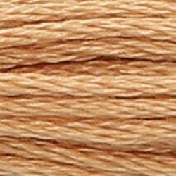 Anchor Floss 368 Spice Med Lt MAIN