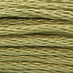 Anchor Floss 843 Fern Green MAIN