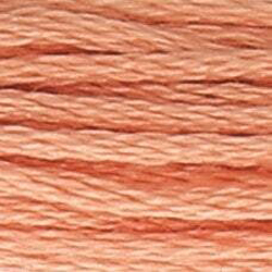 Anchor Floss 9575 Brick Med Lt MAIN