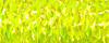 Kreinik #8 Braid 9132 Lemon Grass MAIN